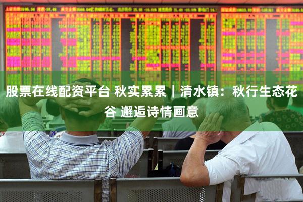股票在线配资平台 秋实累累｜清水镇：秋行生态花谷 邂逅诗情画意