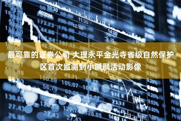 最可靠的证券公司 大理永平金光寺省级自然保护区首次监测到小鸊鷉活动影像