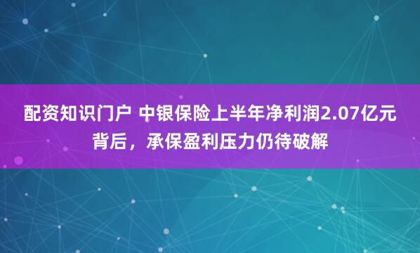 配资知识门户 中银保险上半年净利润2.07亿元背后，承保盈利压力仍待破解